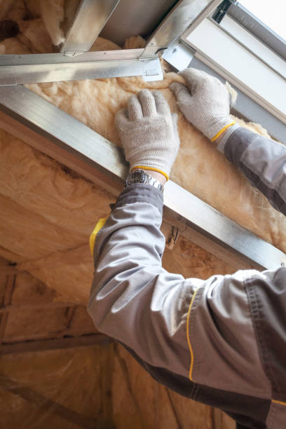Best Residential Insulation in South Pekin, IL