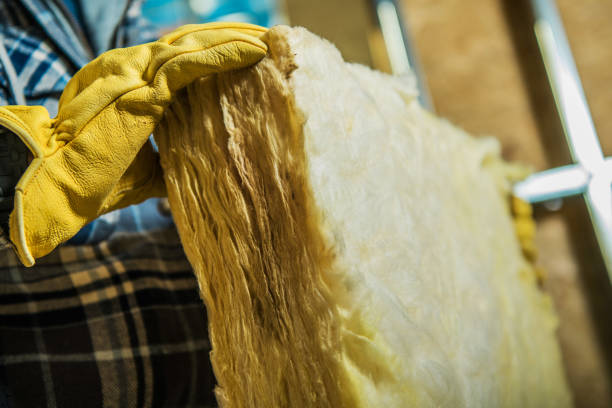 Best Specialized Insulation Services in South Pekin, IL